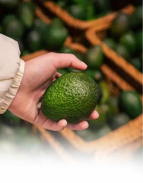 TwinRoute Travel and cargo Limited The most reliable travel and cargo partner in kenya east africa uganda tanzania nairobi mombasa isiolo Asset 33@2.5x