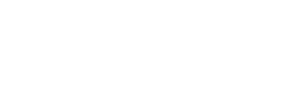 Twinroute Light Logo